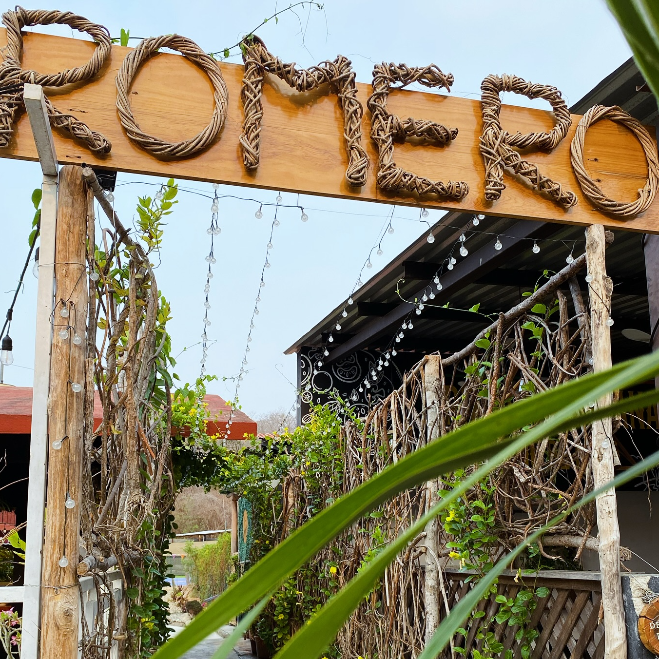 Promocion