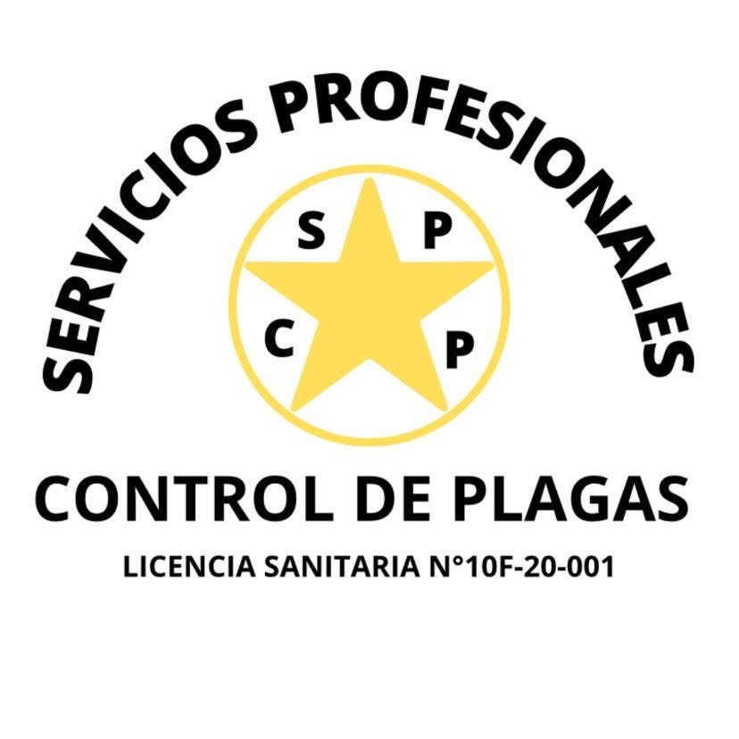 Promocion