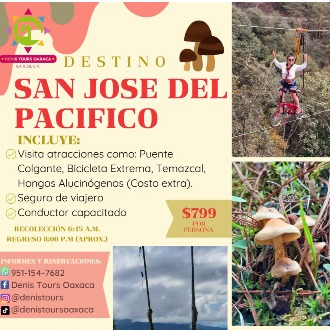 Promocion