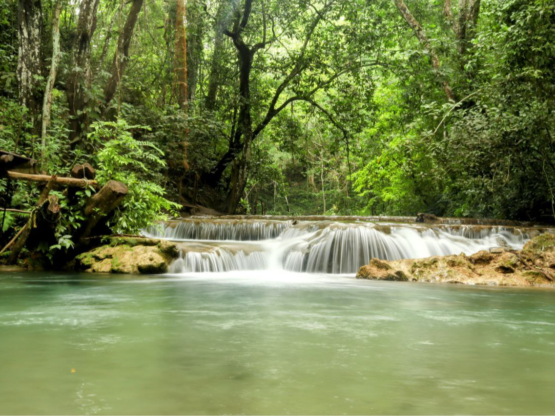 Promocion