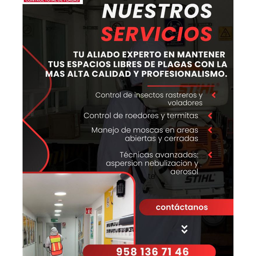 Promocion