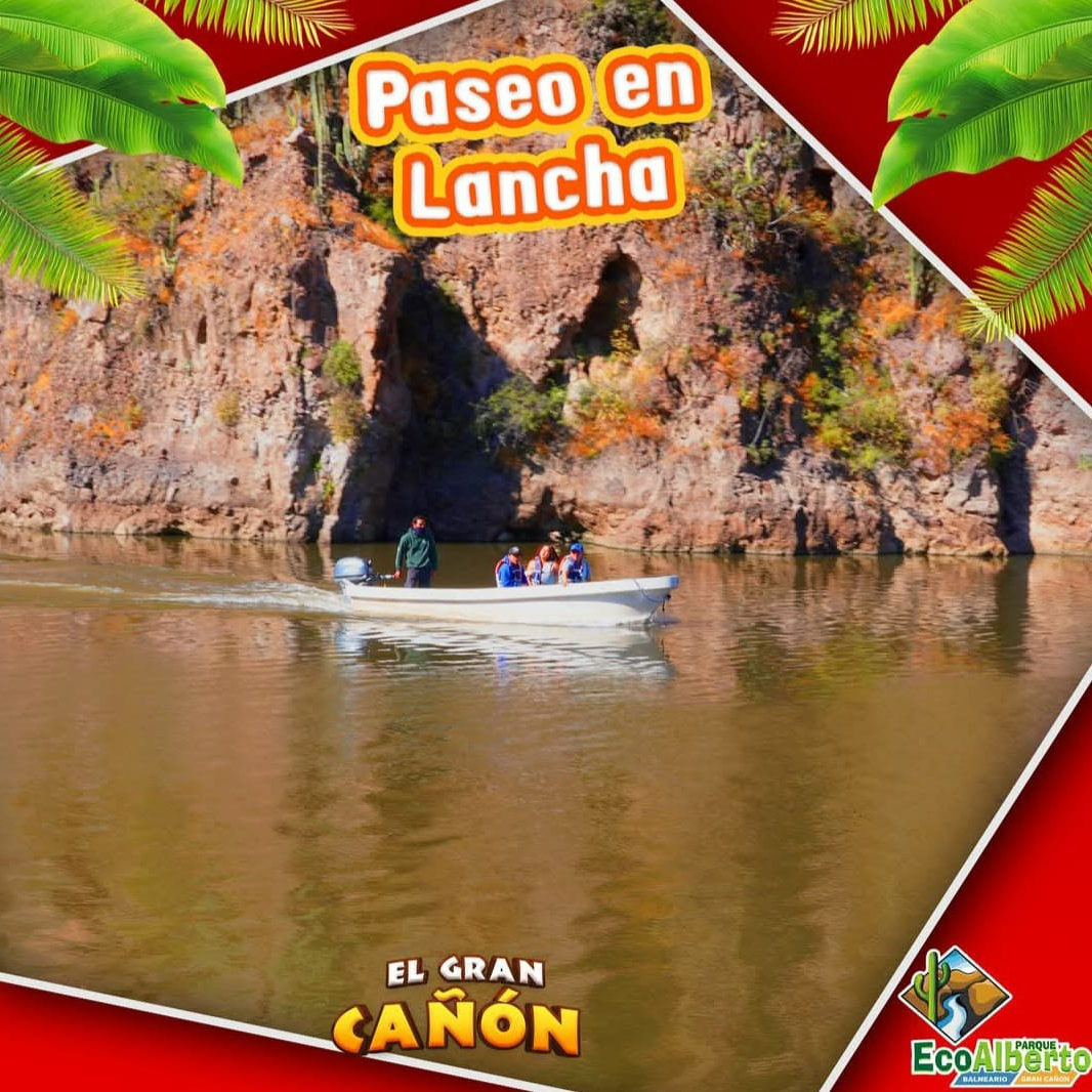 Promocion